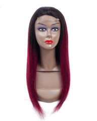 Remy Human Hair Straight 4x4 Lace Closure Wig 8-26inch 1B/99J Color