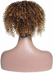 Afro Synthetic Wig Kinky Curly Drawstring African American Wig with Headband