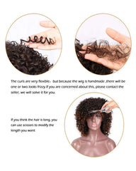 Afro Wig Synthetic Kinky Curly Dark Brown Wig With Bangs 2 Tone Brown Mixed Blonde Color
