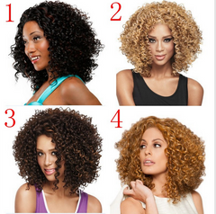 Short Curly Afro Wigs Kinky Curly Wigs Synthetic Soft Colorful Heat Resistant for Women