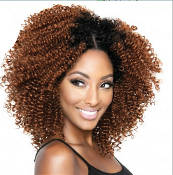 Afro Kinky Curly Ombre Black Brown Synthetic Glueless Deep Wave Daily Use