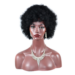 Women Afro Kinky Curly Wigs With Bangs Synthetic Heat Resistant Short Curly Hair