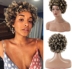 Short Mixed Blonde Afro Kinkly Curly Synthetic Wigs For Women African Hairstyles