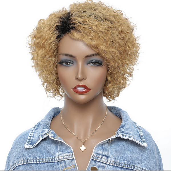 Blonde Curly Wavy Human hair Wigs Natural Full Wig Glueless Hair Wigs